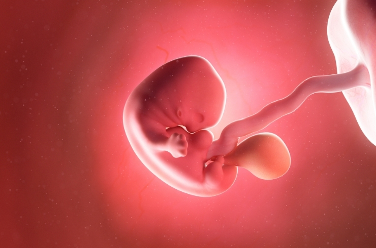 SHE’s Gyneac & Obstetric Clinic